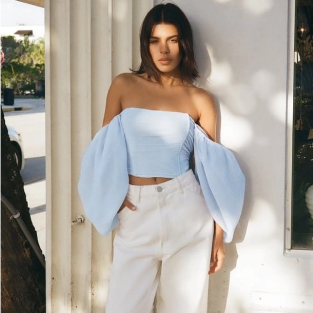 NWT Zara Organza Top in Pastel Blue
